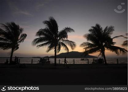 the sunset at the Stand road at the coast of the Andaman sea of Myeik in the south in Myanmar in Southeastasia.. ASIA MYANMAR BURMA MYEIK ANDAMAN SEA