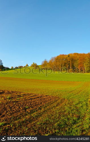 The Swiss Farmhouse Surrounded by Forests and Plowed Fields