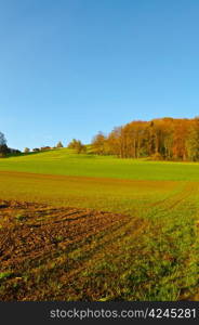 The Swiss Farmhouse Surrounded by Forests and Plowed Fields