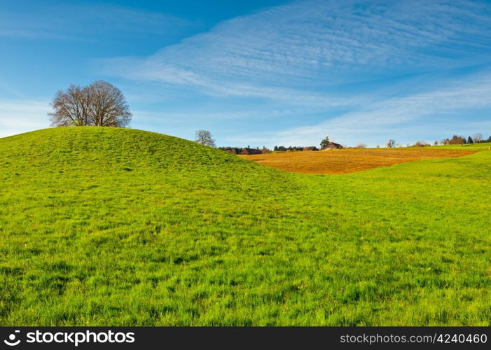The Swiss Farmhouse Surrounded by Plowed Fields and Meadow