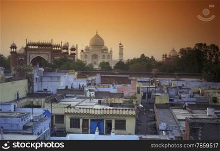 the Taj mahal in the city of Agra in India.. ASIA INDIA AGRA