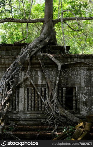 The Tempel Ruin of Beng Mealea 32 Km north of in the Temple City of Angkor near the City of Siem Riep in the west of Cambodia.. ASIA CAMBODIA ANGKOR BENG MEALEA