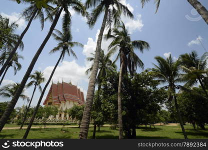 The Tempel Wat Pak Saeng near Lakhon Pheng on the Mekong River in the Provinz Amnat Charoen in the northwest of Ubon Ratchathani in the Region of Isan in Northeast Thailand in Thailand.&#xA;