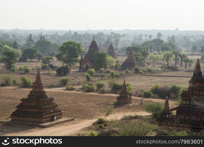 the Temple and Pagoda Fields in Bagan in Myanmar in Southeastasia.. ASIA MYANMAR BAGAN TEMPLE PAGODA LANDSCAPE