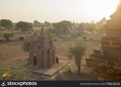 the Temple and Pagoda Fields in Bagan in Myanmar in Southeastasia.. ASIA MYANMAR BAGAN TEMPLE PAGODA LANDSCAPE