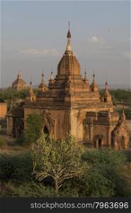the Temple and Pagoda Fields in Bagan in Myanmar in Southeastasia.. ASIA MYANMAR BAGAN TEMPLE PAGODA LANDSCAPE