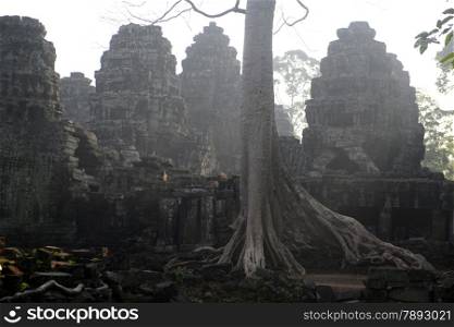 The Temple of Banteay Kdei in the Temple City of Angkor near the City of Siem Riep in the west of Cambodia.. ASIA CAMBODIA ANGKOR BANTEAY KDEI