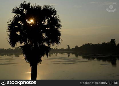 The Temple of Eastern Mebon in the Temple City of Angkor near the City of Siem Riep in the west of Cambodia.. ASIA CAMBODIA ANGKOR BANTEAY KDEI