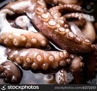 The tentacles of the octopus are boiled in water. Macro background. Octopus texture. High quality photo. The tentacles of the octopus are boiled in water.