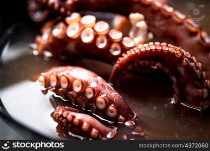 The tentacles of the octopus are boiled in water. Macro background. Octopus texture. High quality photo. The tentacles of the octopus are boiled in water.