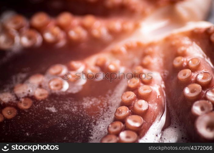 The tentacles of the octopus are boiled in water. Macro background. Octopus texture. High quality photo. The tentacles of the octopus are boiled in water.