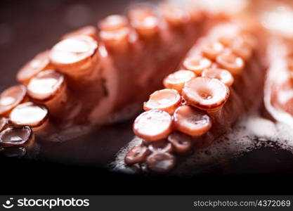 The tentacles of the octopus are boiled in water. Macro background. Octopus texture. High quality photo. The tentacles of the octopus are boiled in water.