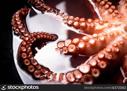 The tentacles of the octopus are boiled in water. Macro background. Octopus texture. High quality photo. The tentacles of the octopus are boiled in water.