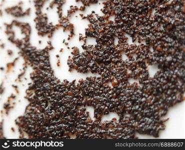 the texture and pattern of wet and used coffee grains