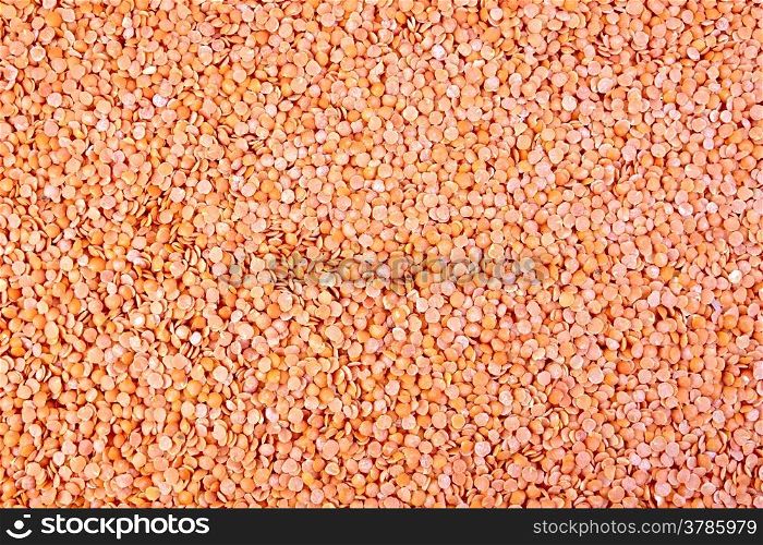 The texture of a red lentil beans