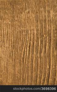 The texture of rough wood surface, wood grain visible
