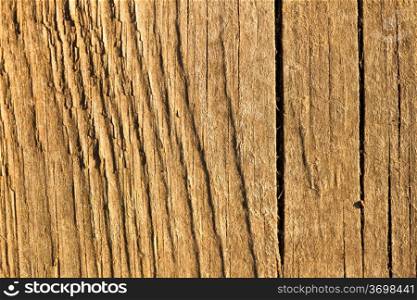 The texture of rough wood surface, wood grain visible