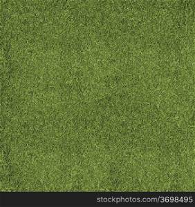 The texture of the herb cover sports field. It is used in baseball, football, cricket, rugby, tennis, golf, field hockey