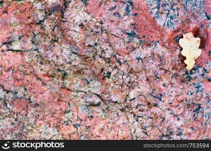 the texture of the stone, sea stone background. sea stone background, the texture of the stone