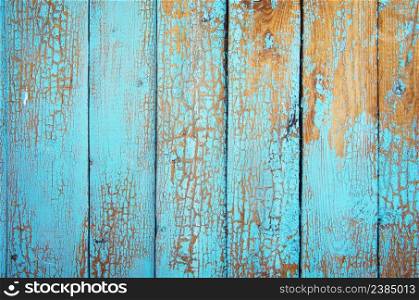 the Texture of Wood blue panel for background