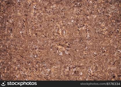 The texture of yellow and brown sandstone closeup