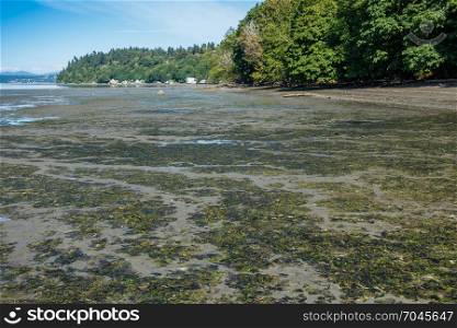 The tide is low at Dash Point State Park in Washington State.