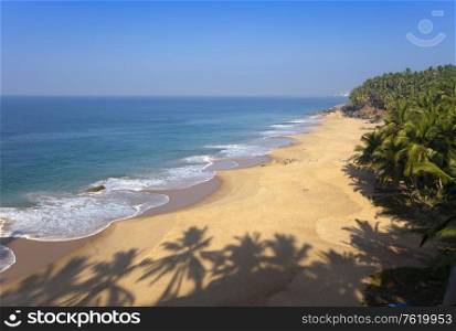 The top view on a sandy beach of the sea and a palm tree. India