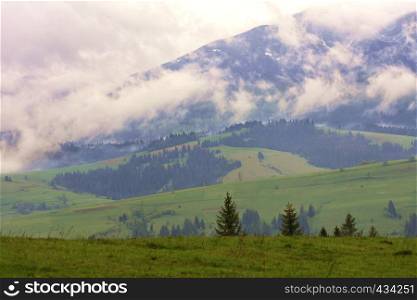 The torn clouds of morning fog slowly descend along the slopes of the Carpathian Mountains into the forest green valleys in the early spring morning.. Mountain dense fog spreads along the slopes of the Carpathian Mountains in the early morning