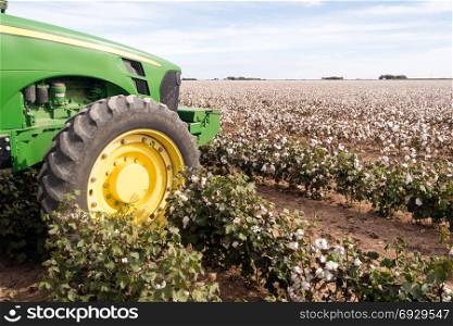 The tractor sits at the cotton plantation farm field edge waiting for harvest