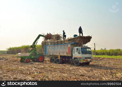 The tractor was lifting sugar cane onto the truck with blue sky background