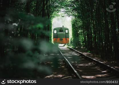 the train goes to the tunnel of love in the summer. the train goes to the tunnel of love in the summer. green trees