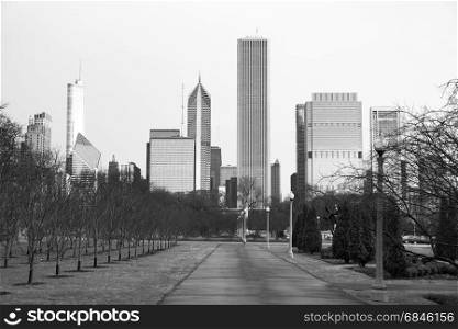 The trees of Millennium Park are bare in downtown Chicago