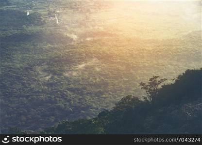 the tropical forest landscape in Thailand, morning time