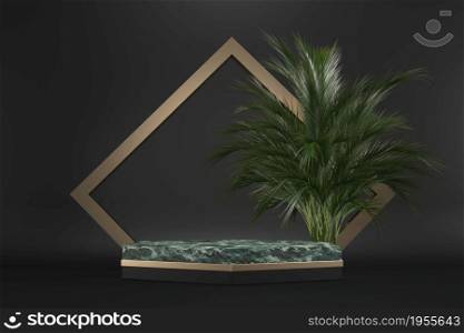 The Tropical granite Podium geometric and plants decoration on black background .3D rendering