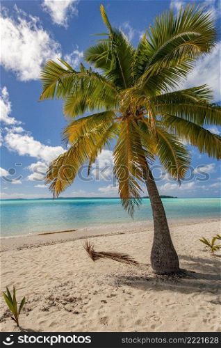 The tropical lagoon at Tapuaetai  One Foot Island  in Aitutaki Lagoon in the Cook Islands in the South Pacific.