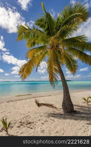 The tropical lagoon at Tapuaetai  One Foot Island  in Aitutaki Lagoon in the Cook Islands in the South Pacific.