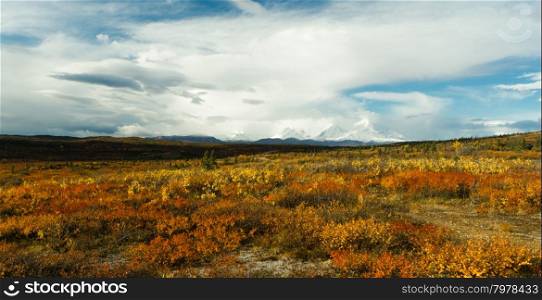 The tundra reacts to the weather in remote Alaska