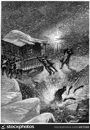 The two unfortunate beasts just disappeared, vintage engraved illustration. Jules Verne Cesar Cascabel, 1890.
