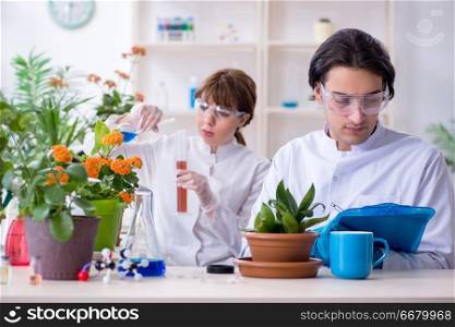 The two young botanist working in the lab . Two young botanist working in the lab 