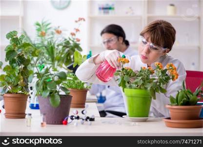 The two young botanist working in the lab . Two young botanist working in the lab 