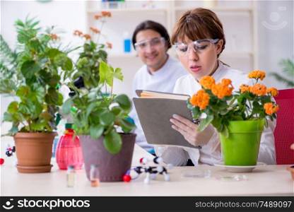 The two young botanist working in the lab . Two young botanist working in the lab