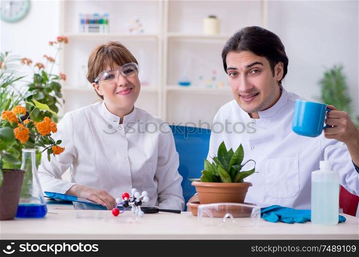 The two young botanist working in the lab . Two young botanist working in the lab