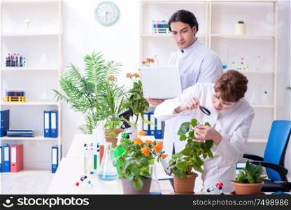 The two young botanist working in the lab. Two young botanist working in the lab