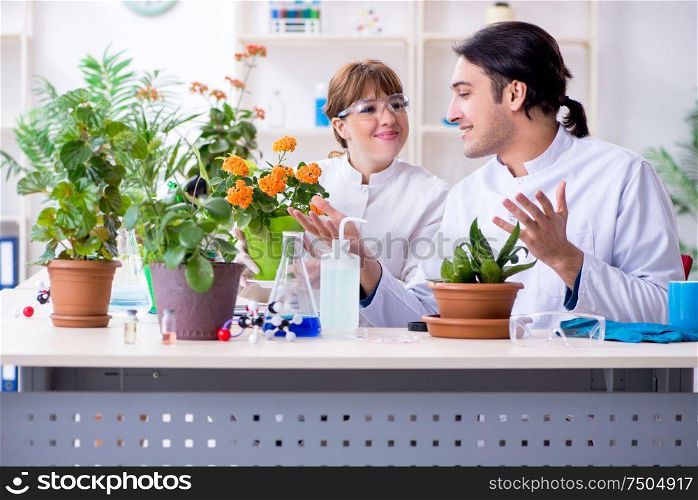 The two young botanist working in the lab. Two young botanist working in the lab