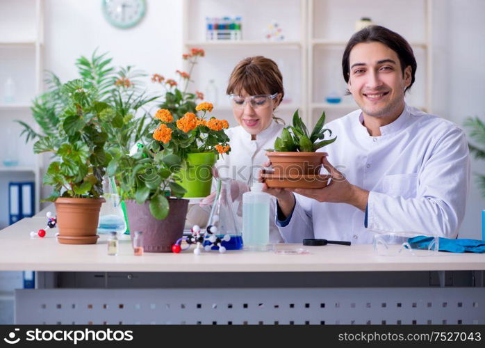 The two young botanist working in the lab. Two young botanist working in the lab