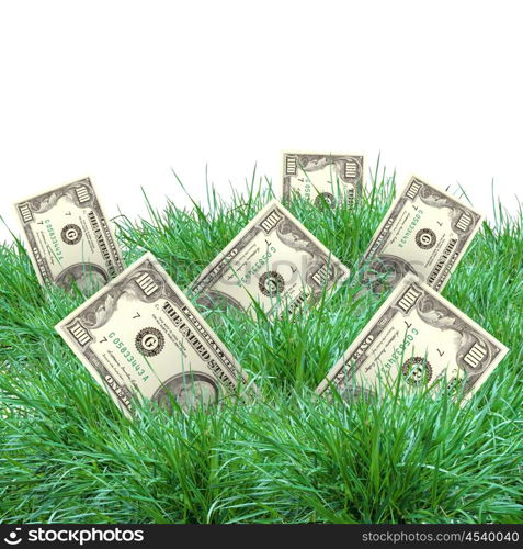 The vegetation of dollar bills on the green grass against the blue sky. Concept.