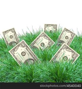 The vegetation of dollar bills on the green grass against the blue sky. Concept.