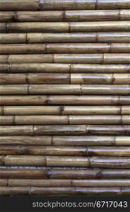 the very old bamboo background for design