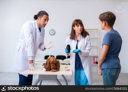 The vet doctor examining golden retriever dog in clinic. Vet doctor examining golden retriever dog in clinic