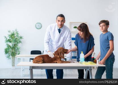 The vet doctor examining golden retriever dog in clinic. Vet doctor examining golden retriever dog in clinic